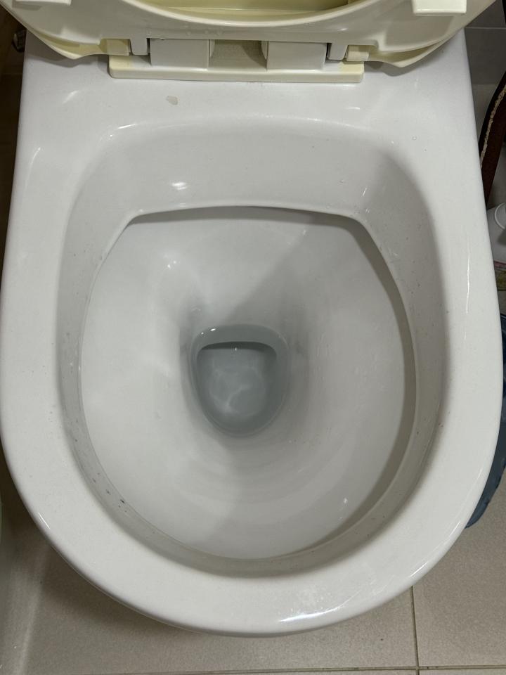 馬桶裝修案件圖片