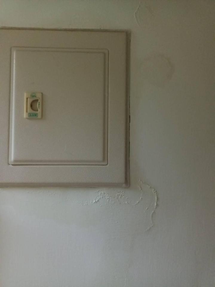 漏水鑑定案件圖片