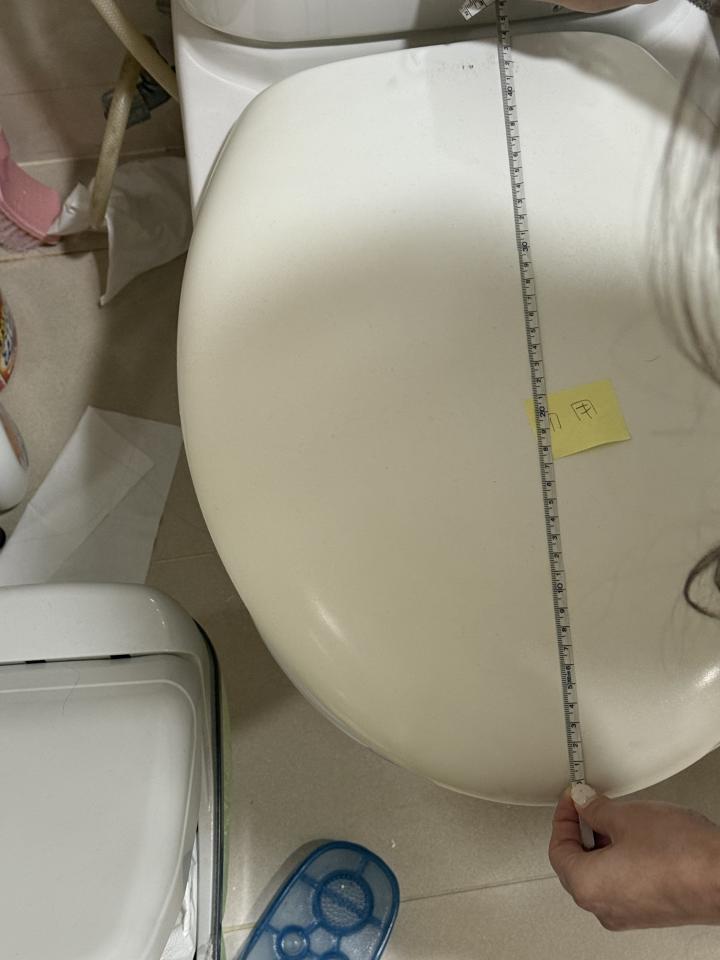 馬桶裝修案件圖片