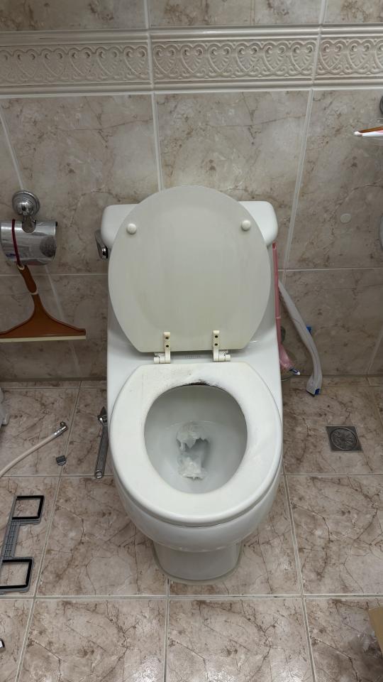 馬桶裝修案件圖片