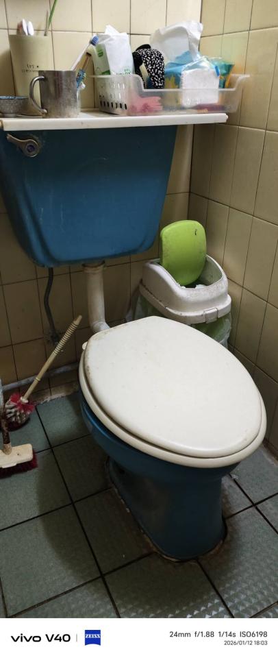 馬桶裝修案件圖片