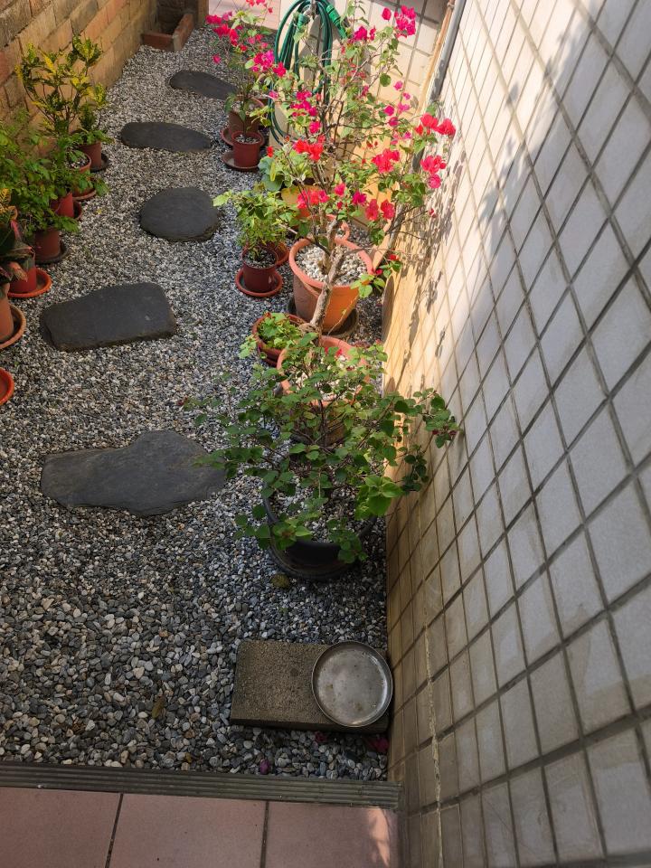 泥作/水泥施工案件圖片