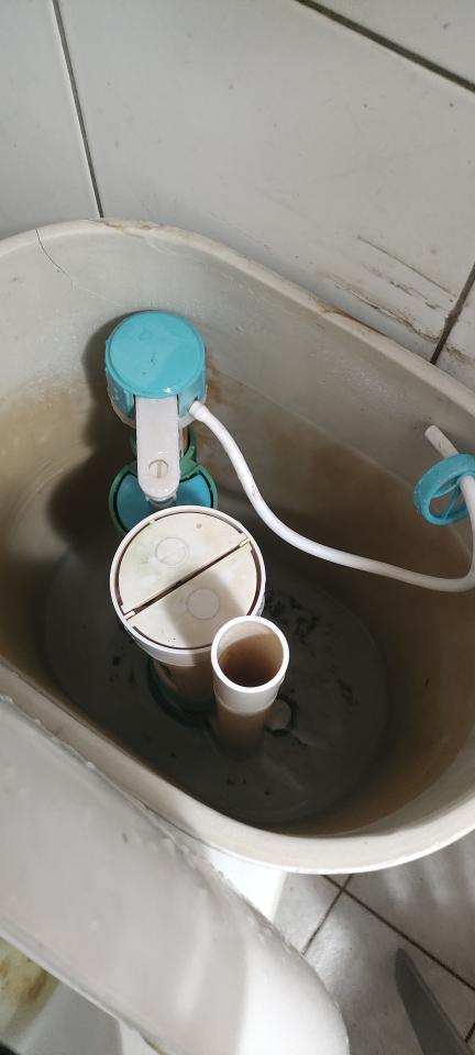 馬桶裝修案件圖片