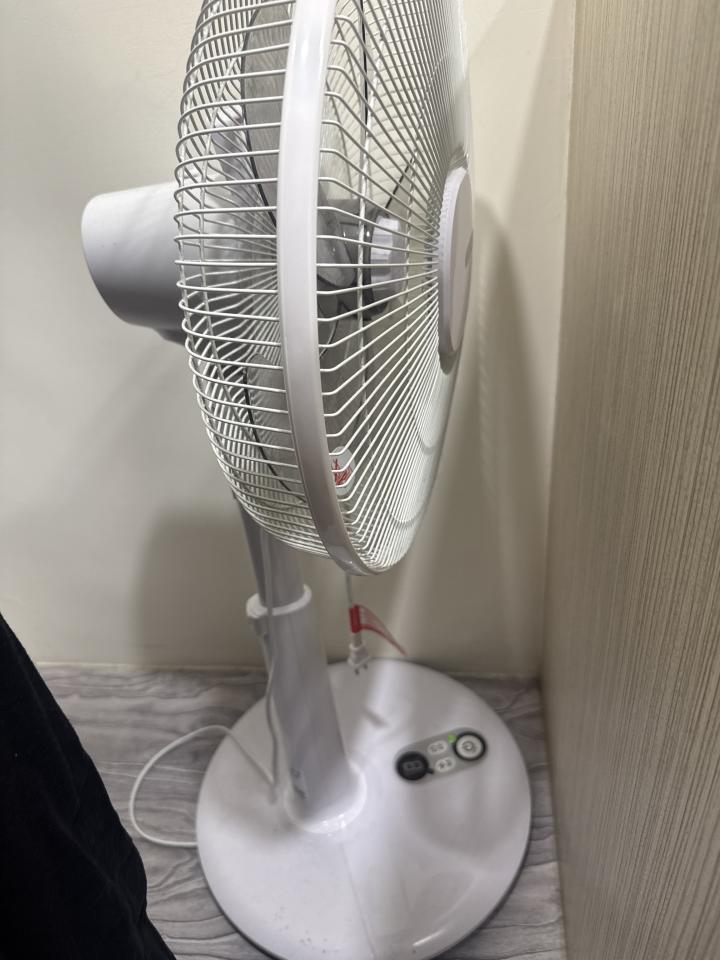 大型垃圾回收案件圖片