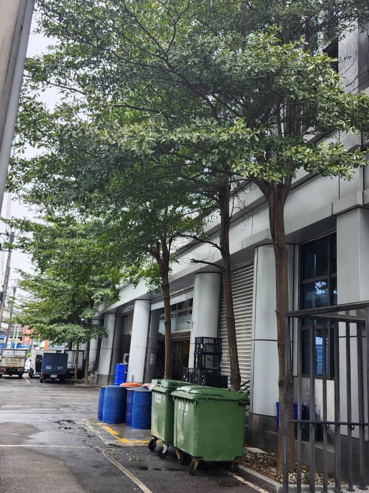 園藝維護案件圖片