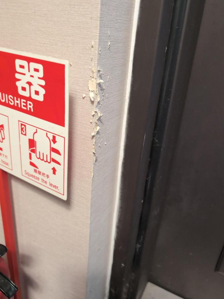 壁紙施工案件圖片