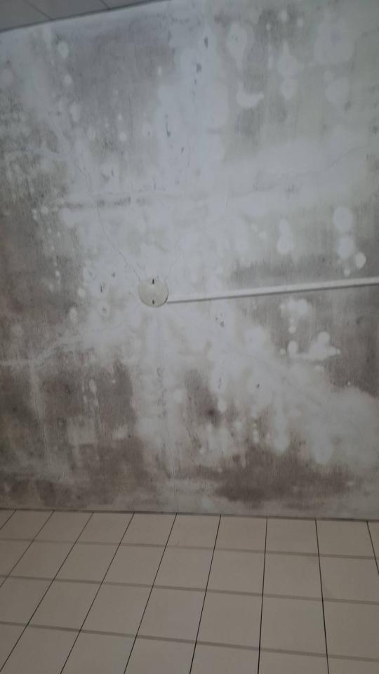 浴室翻新案件圖片