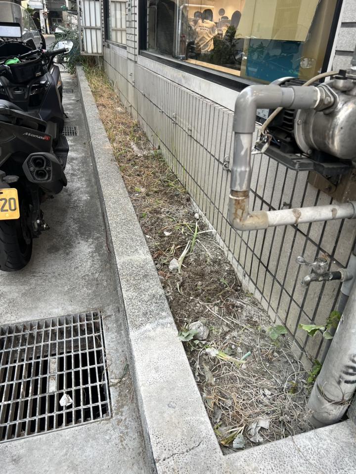 園藝維護案件圖片
