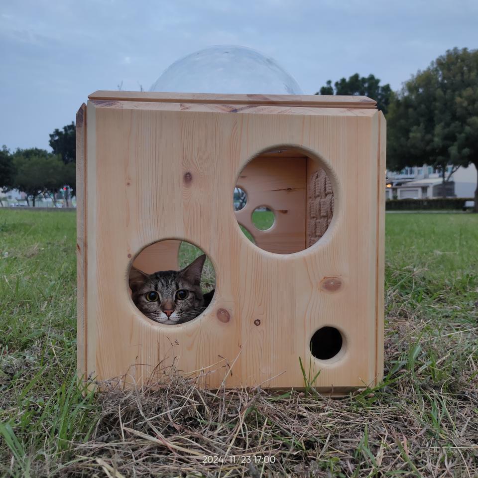 木工施工案件圖片