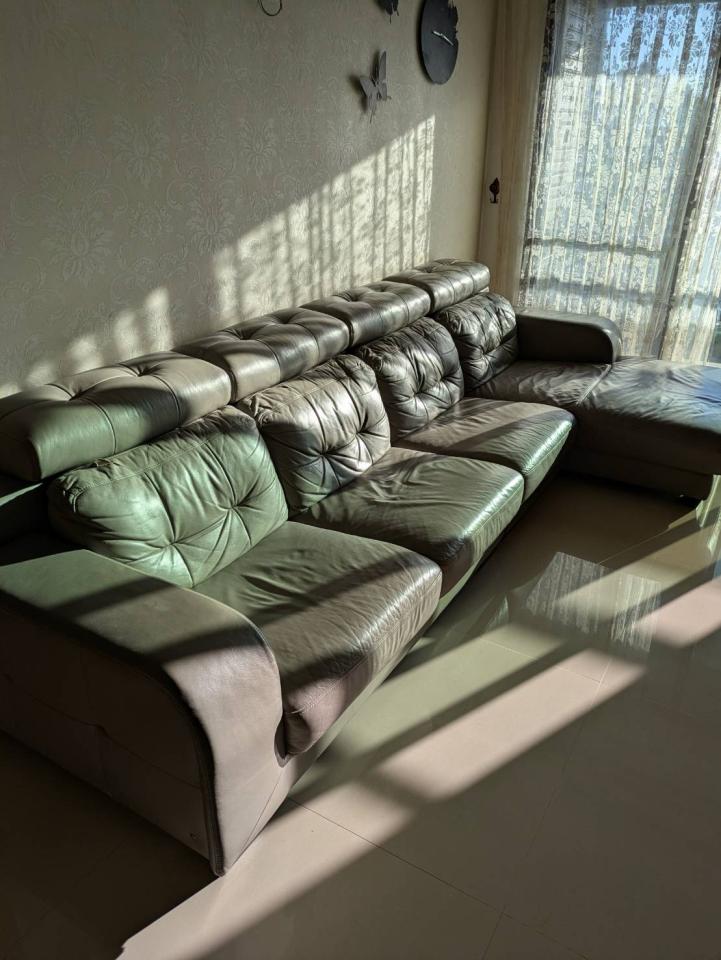 載貨運輸服務案件圖片