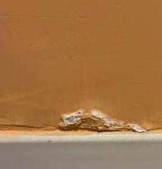 壁癌處理案件圖片