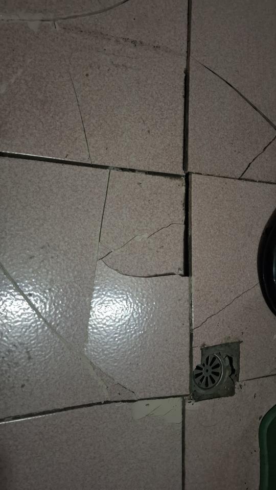 磁磚修補案件圖片
