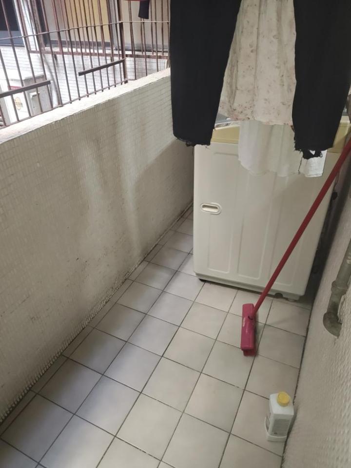 洗衣機清洗案件圖片