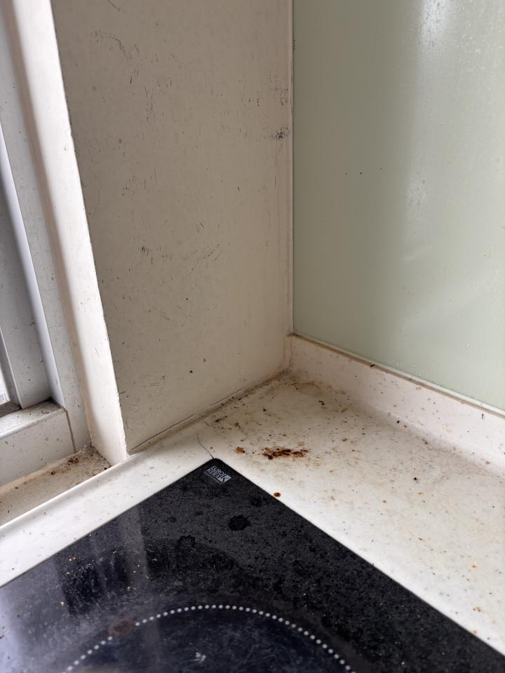 搬家清潔案件圖片