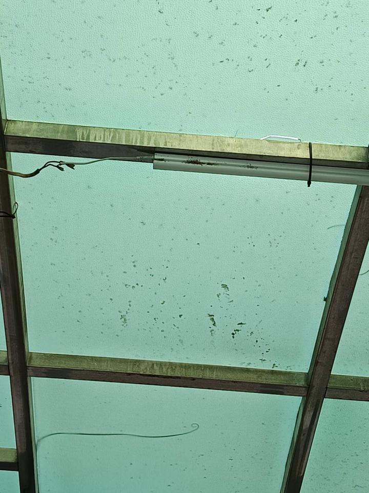 採光罩案件圖片