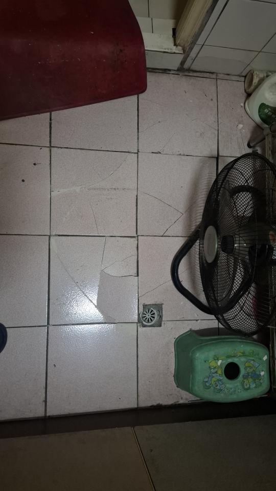 磁磚修補案件圖片