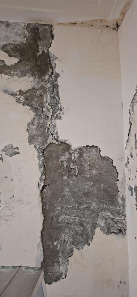 油漆工程案件圖片