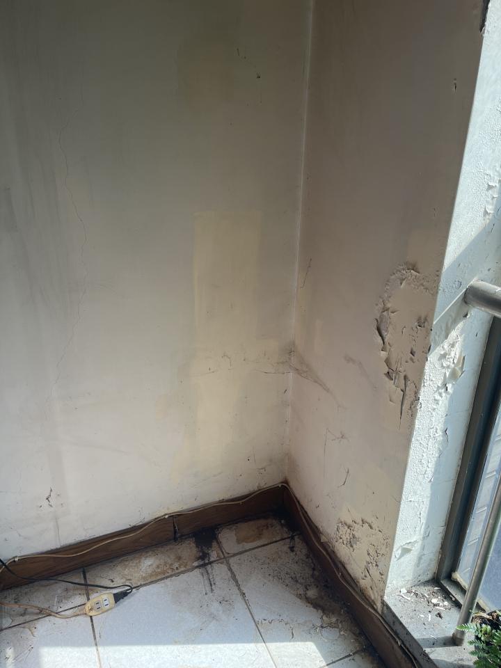 油漆工程案件圖片