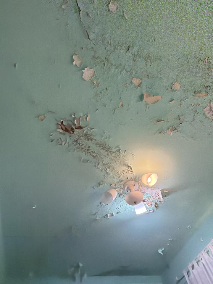 油漆工程案件圖片