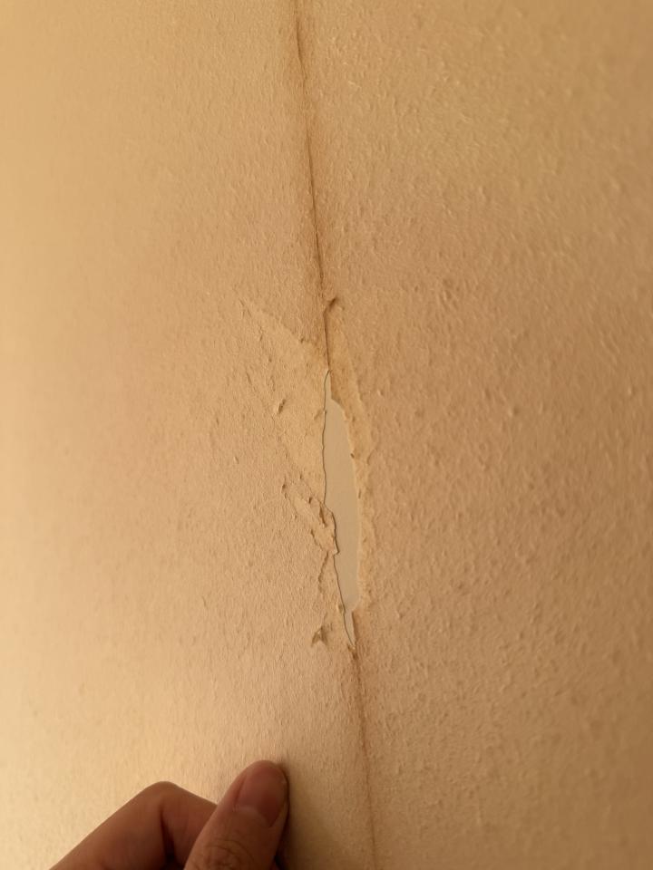 壁紙清除案件圖片