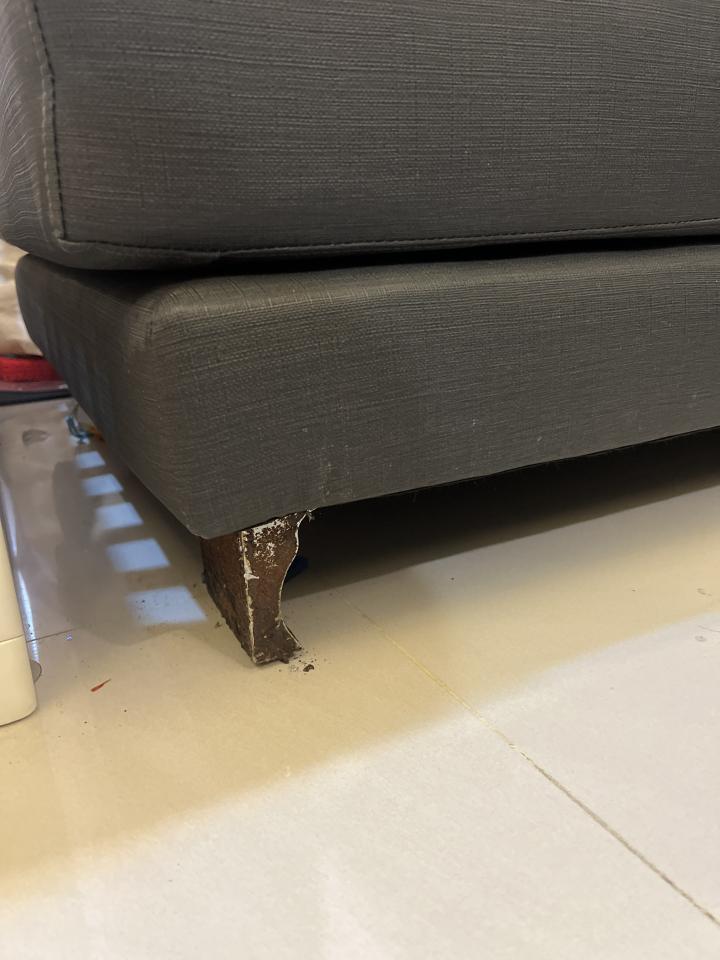 沙發修理案件圖片