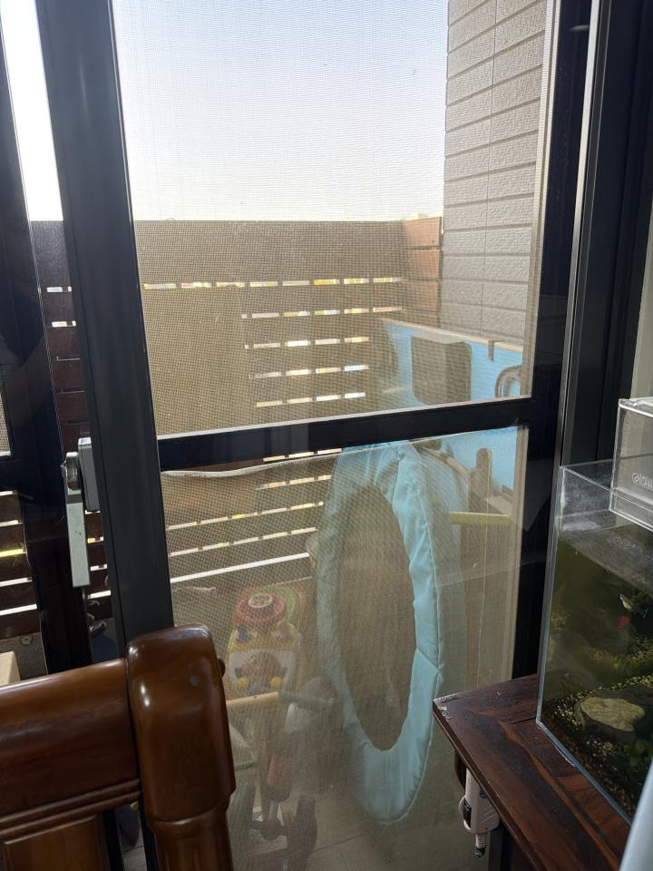 紗窗裝修案件圖片