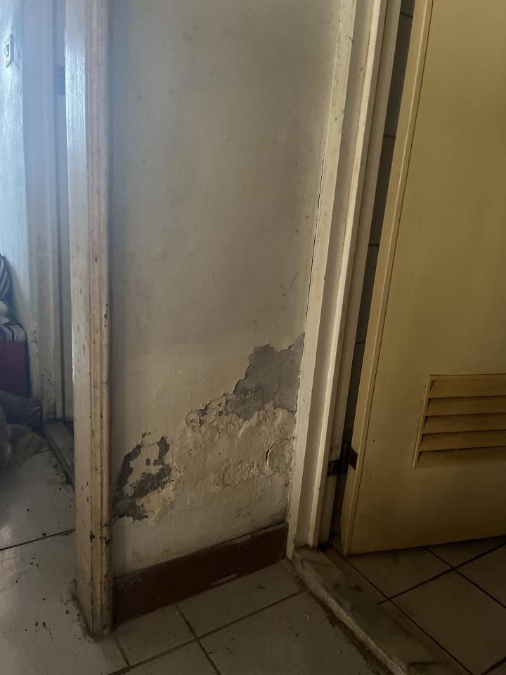 油漆工程案件圖片