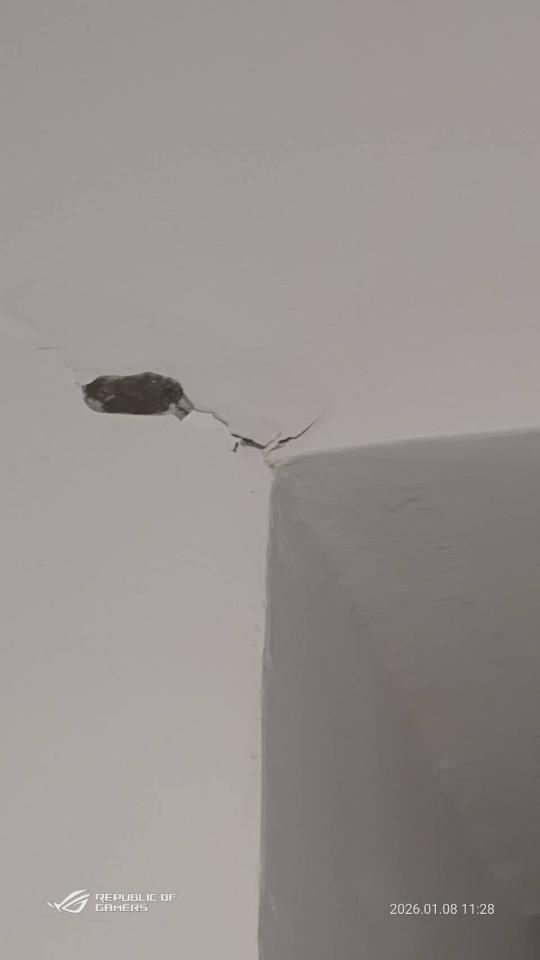 泥作/水泥施工案件圖片