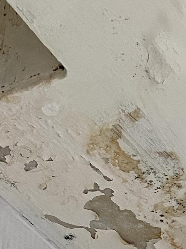 漏水處理案件圖片