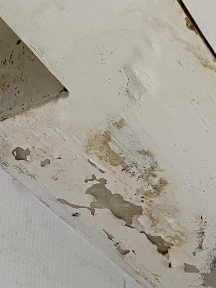 漏水處理案件圖片