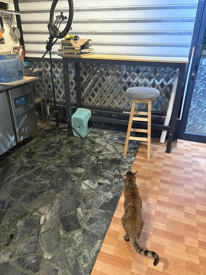 冰箱維修案件圖片