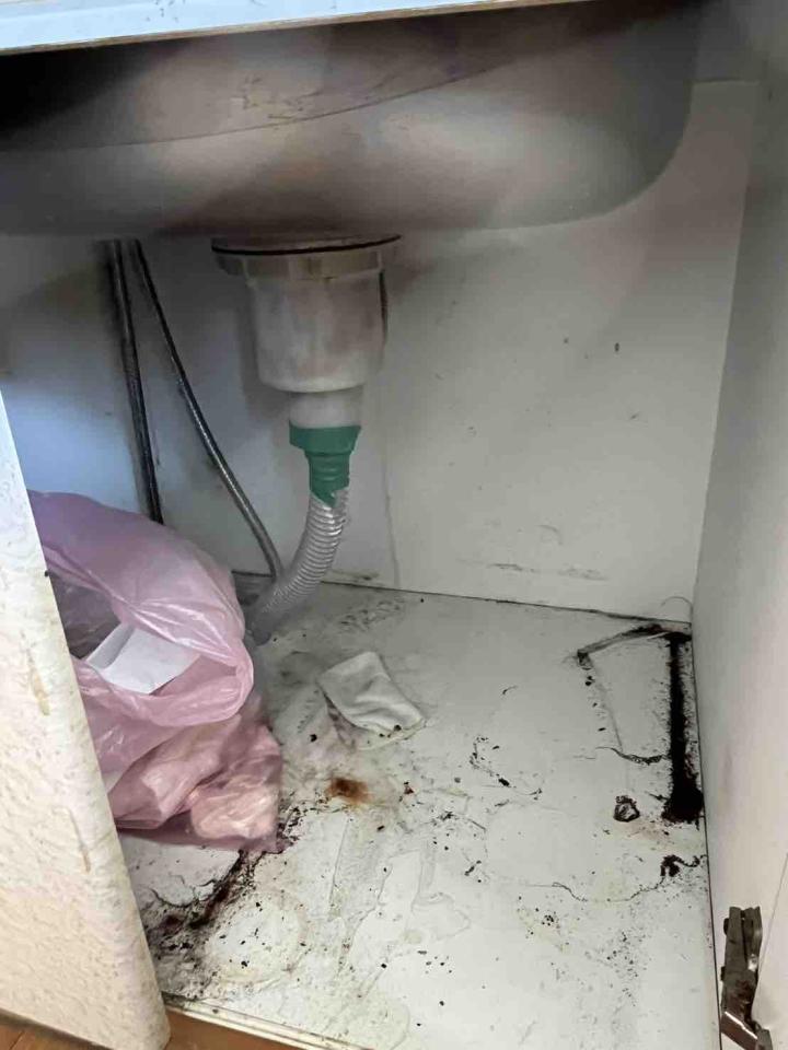 家具貼皮案件圖片