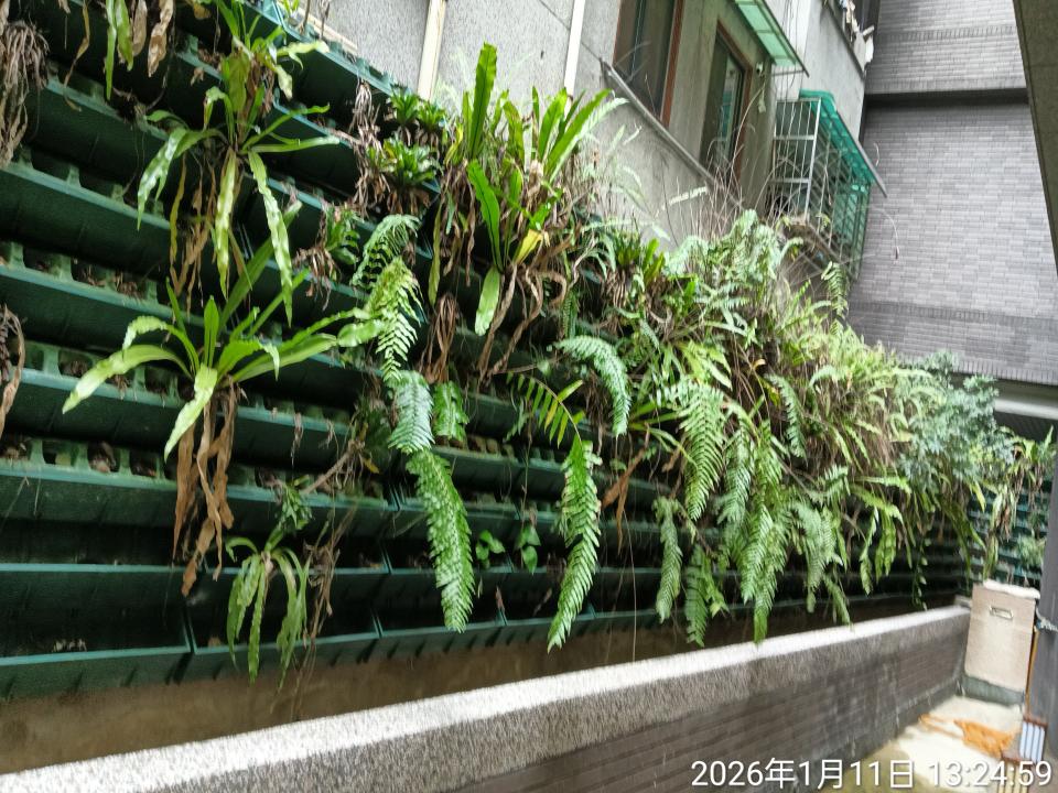 園藝維護案件圖片