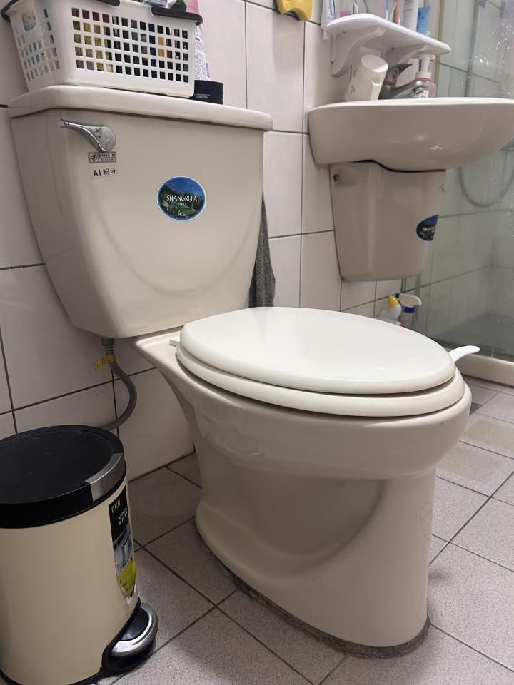 馬桶裝修案件圖片