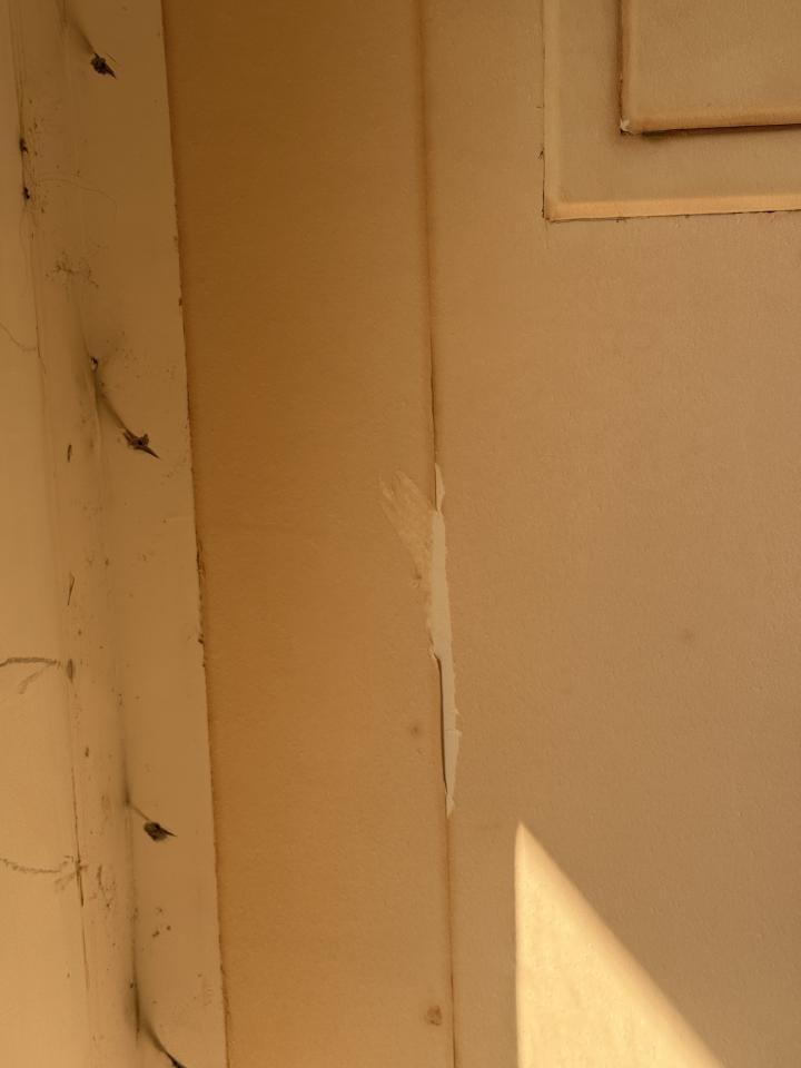 壁紙清除案件圖片