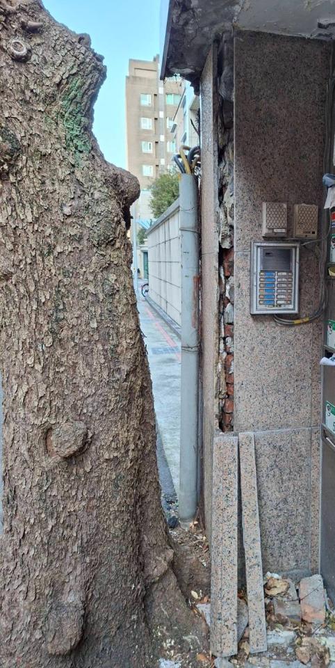 磁磚修補案件圖片