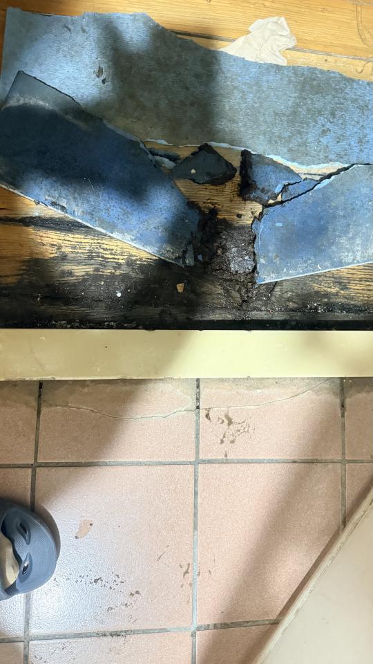 木工施工案件圖片