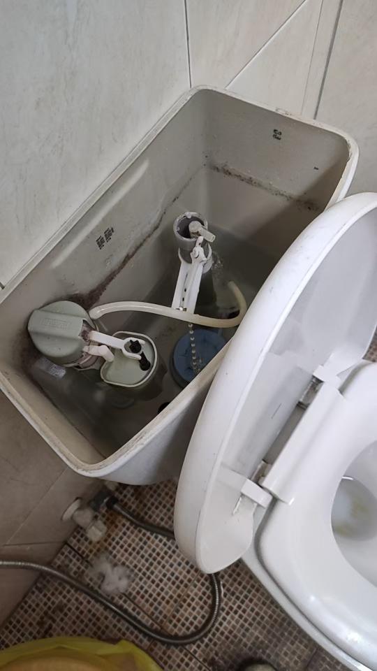 馬桶裝修案件圖片