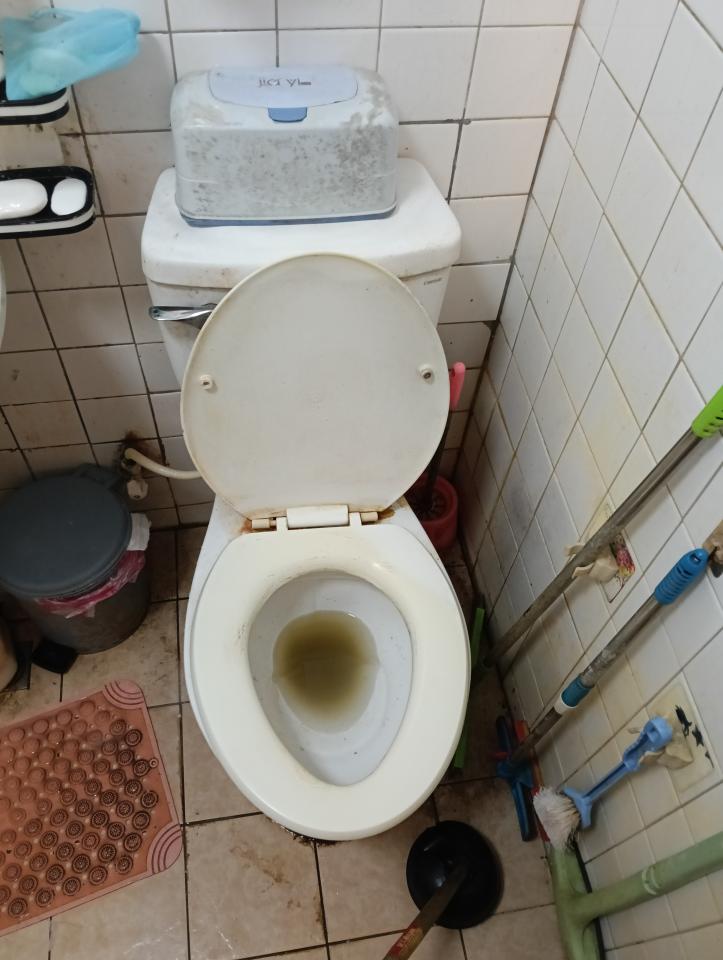 馬桶裝修案件圖片