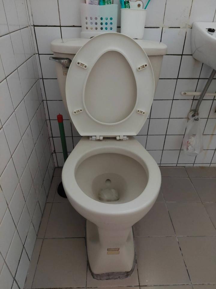 通馬桶案件圖片