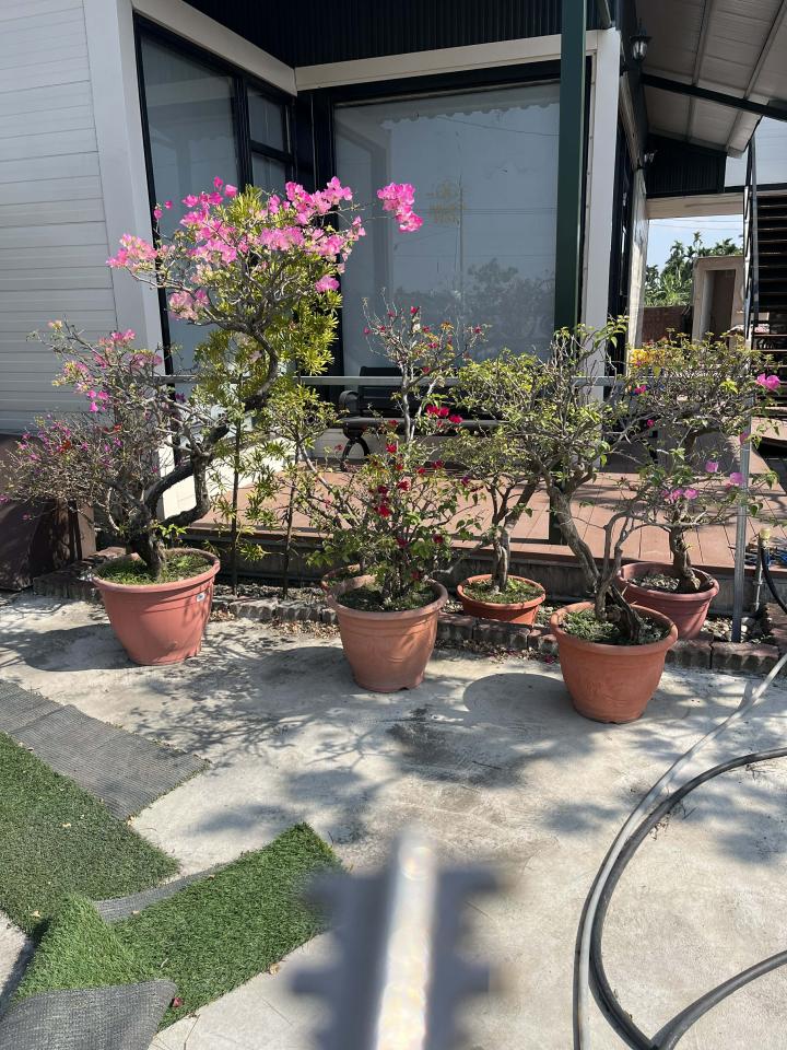 回頭車案件圖片