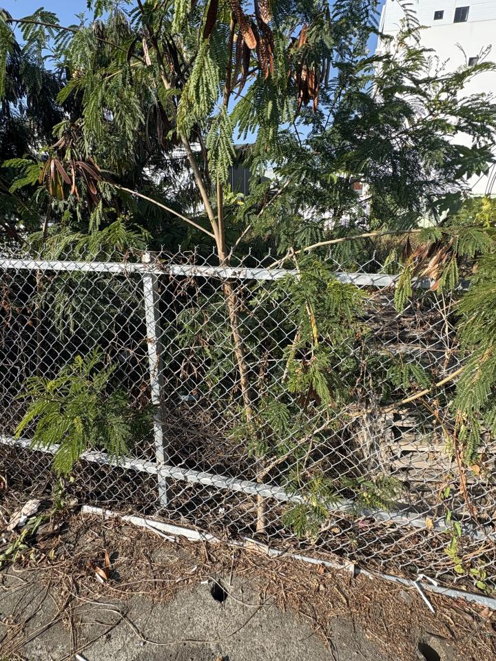 大型垃圾回收案件圖片