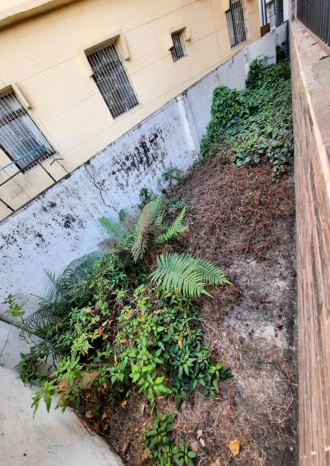 園藝維護案件圖片