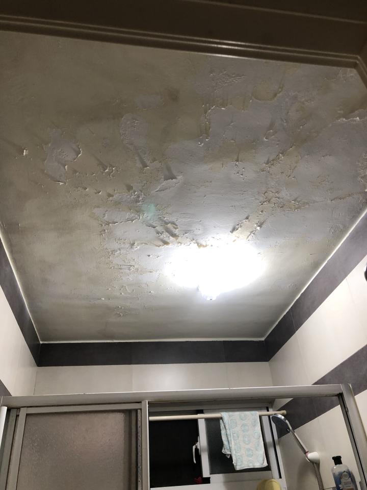 油漆工程案件圖片