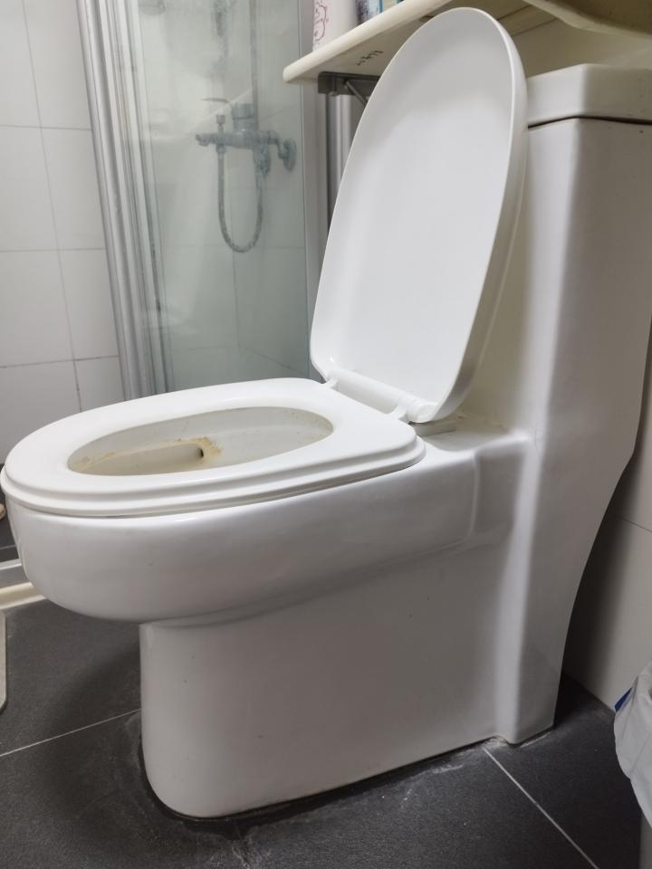 馬桶裝修案件圖片
