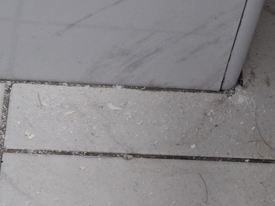 漏水處理案件圖片