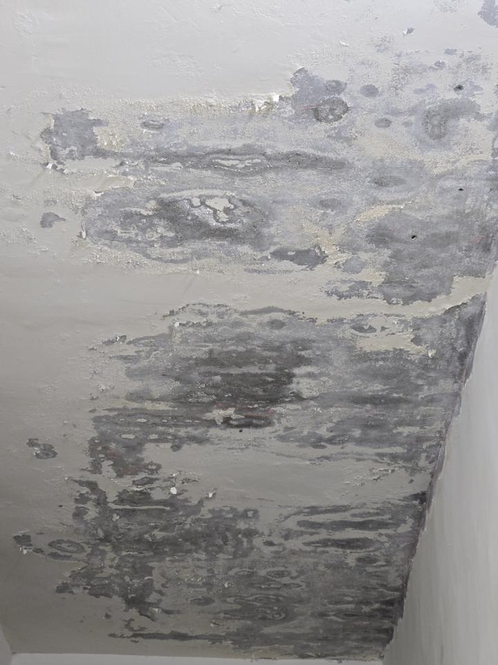 油漆工程案件圖片