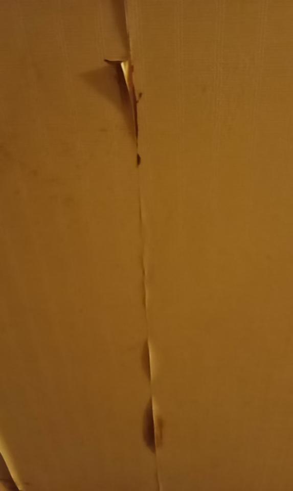 壁紙施工案件圖片