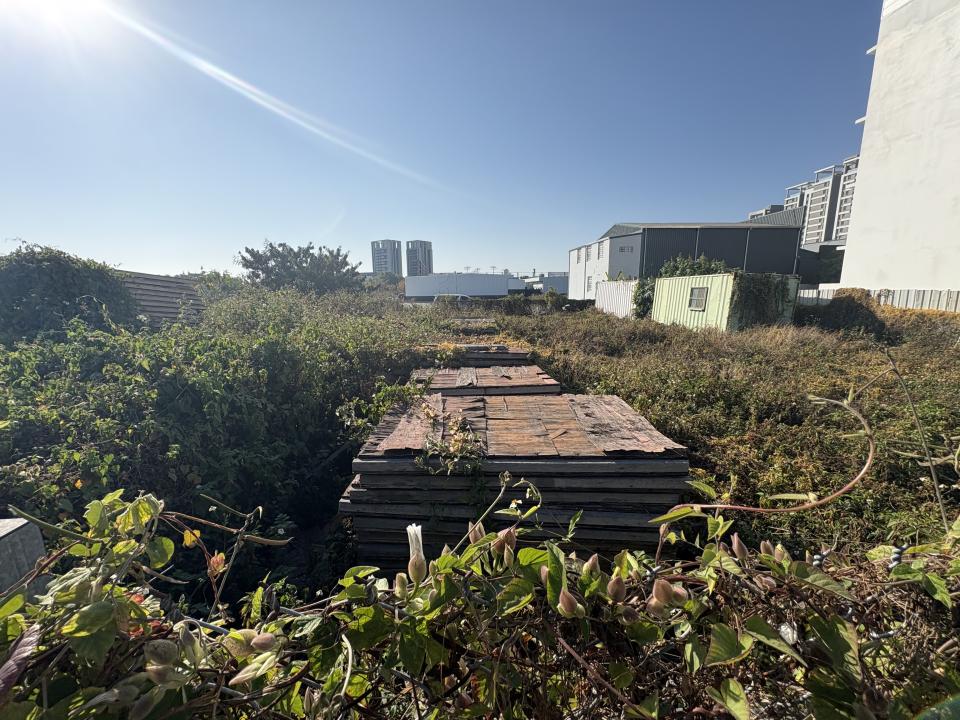 大型垃圾回收案件圖片