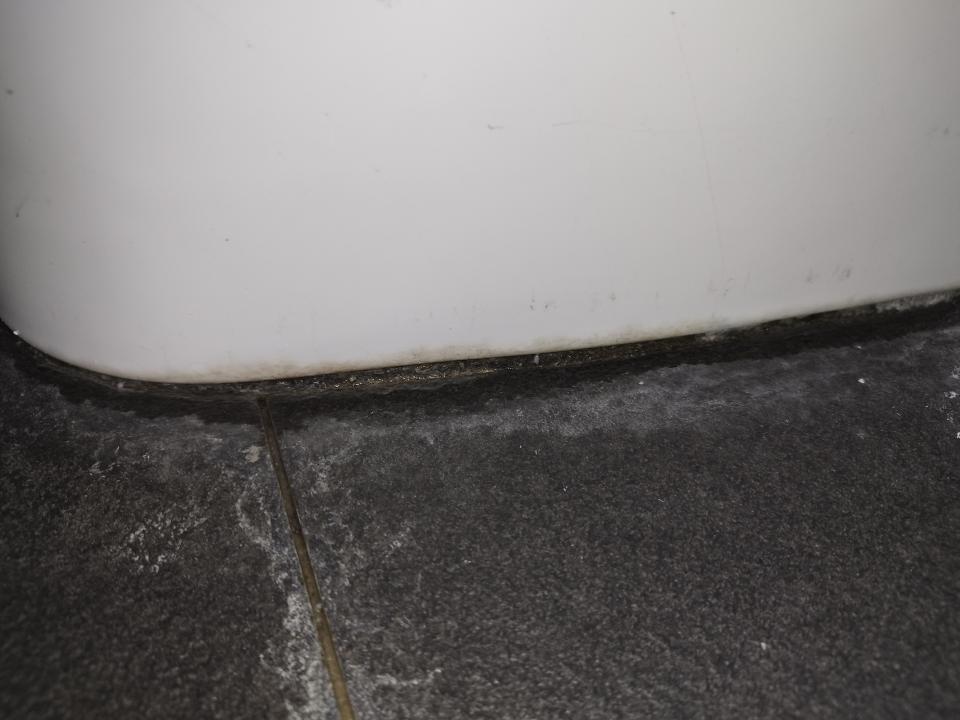 馬桶裝修案件圖片